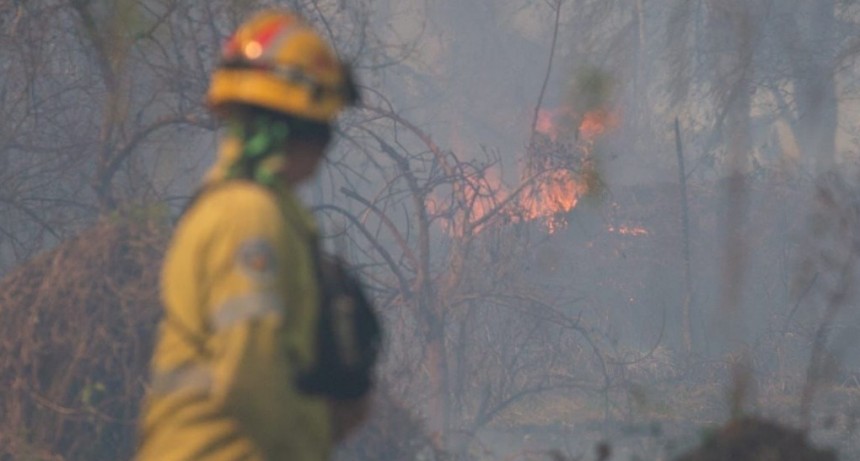 Brigadistas forestales de Santa Fe combaten focos &iacute;gneos en zona de islas entrerrianas