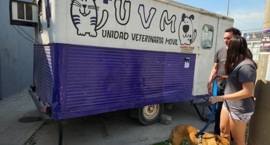 &Aacute;rea Municipal de Protecci&oacute;n Animal de Santo Tom&eacute;: balance de enero a agosto