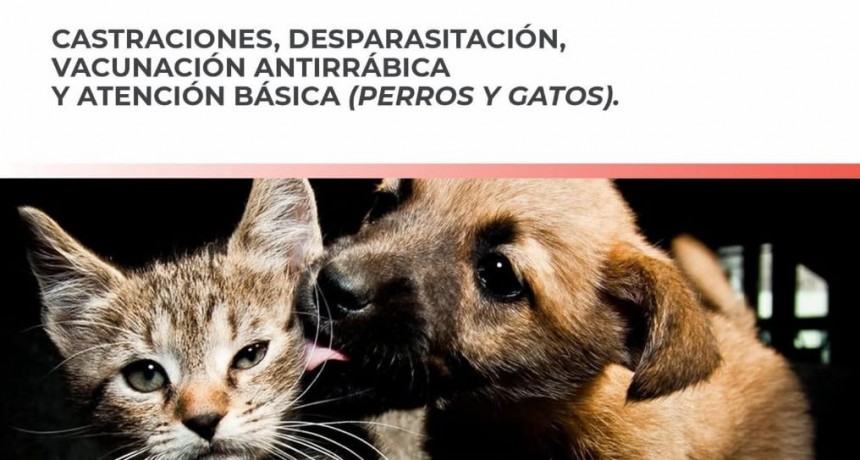 Atenci&oacute;n veterinaria m&oacute;vil: Cronograma para el mes de septiembre