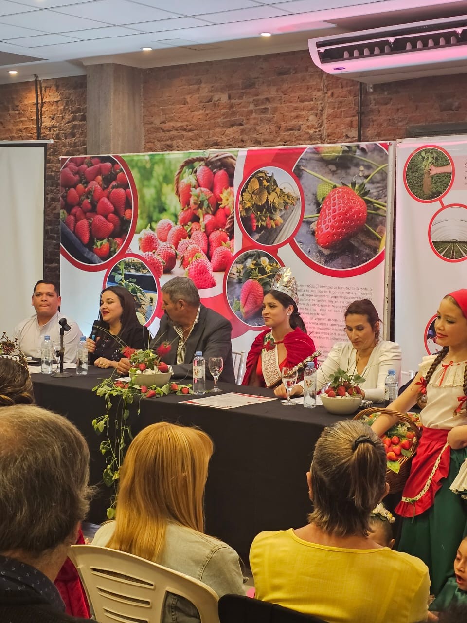 Se lanzó la Fiesta de la Frutilla en Coronda