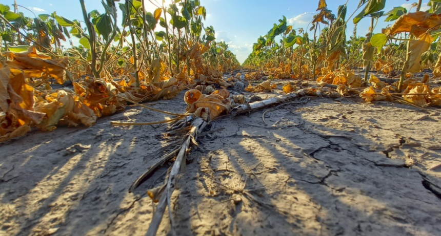 Emergencia Agropecuaria: la Provincia reabre la inscripci&oacute;n a la l&iacute;nea para recomposici&oacute;n productiva 2023