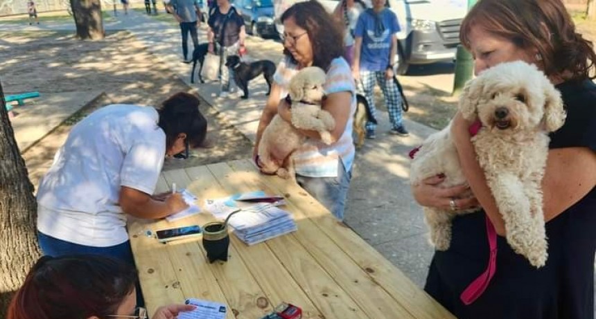 La Municipalidad de Santo Tom&eacute; llev&oacute; a cabo otra jornada exitosa de vacunaci&oacute;n antirr&aacute;bica gratuita