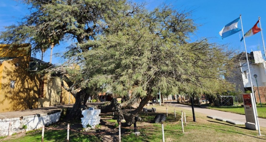 El Municipio conmemora el paso del Gral. Manuel Belgrano por Santo Tom&eacute;