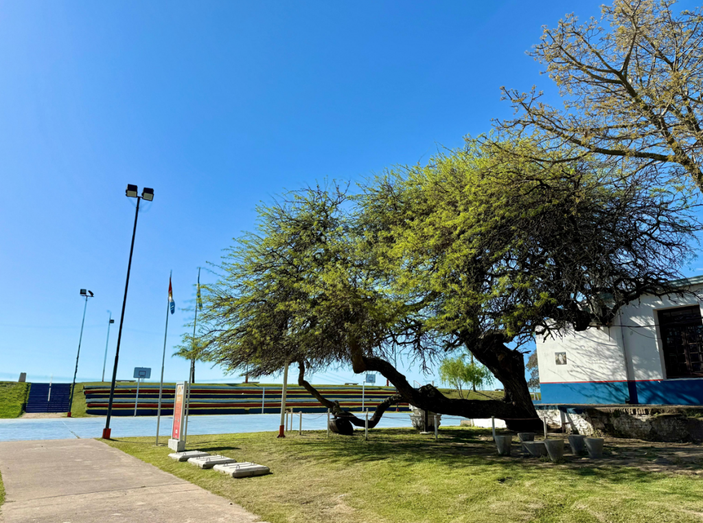 Santo Tomé conmemora el 215° aniversario del paso del General Belgrano