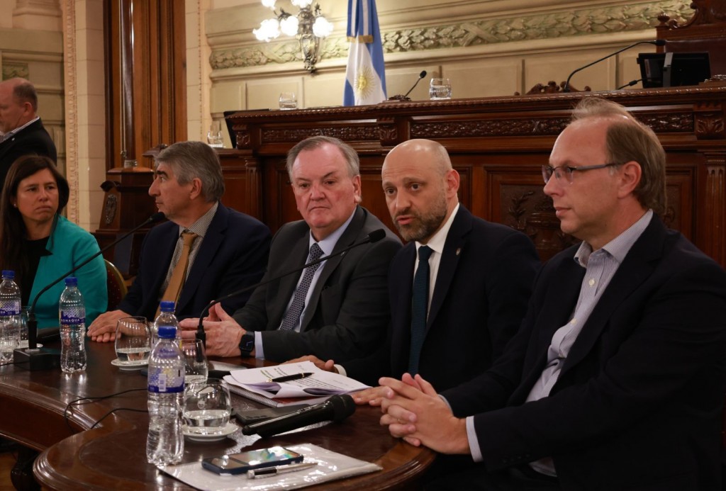 Eficiencia energética: cómo es el plan de inversión para ahorrar hasta un 40 % de consumo que el Gobierno explicó en el Senado
