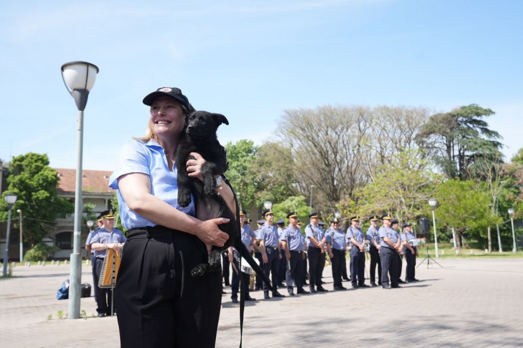 Canes policiales: Scaglia participó del retiro de un perro y la incorporación al servicio de otros dos