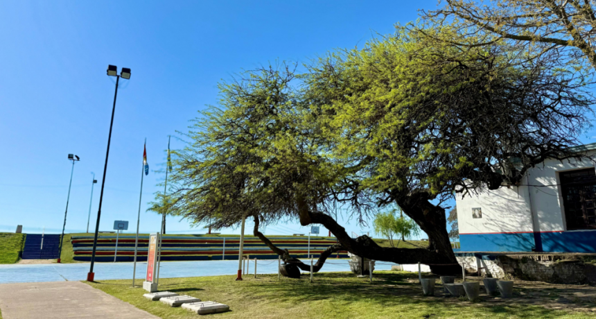 Santo Tom&eacute; conmemora el 215&deg; aniversario del paso del General Belgrano