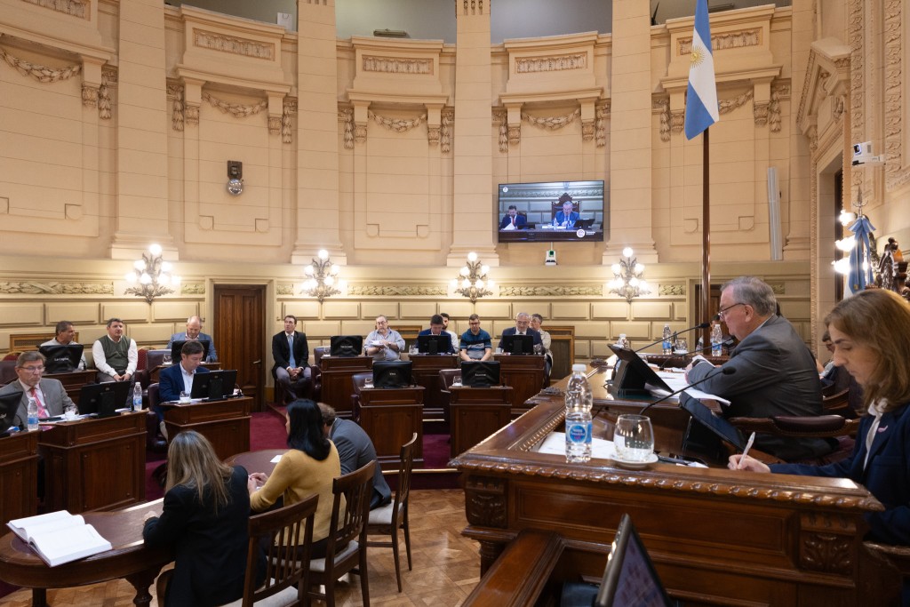 El Senado dio media sanci&oacute;n a un sistema de prevenci&oacute;n de la violencia de g&eacute;nero