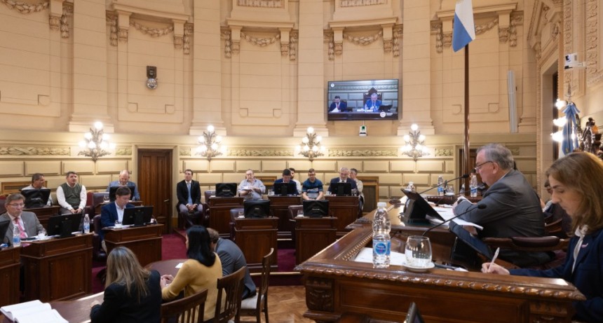 El Senado dio media sanci&oacute;n a un sistema de prevenci&oacute;n de la violencia de g&eacute;nero