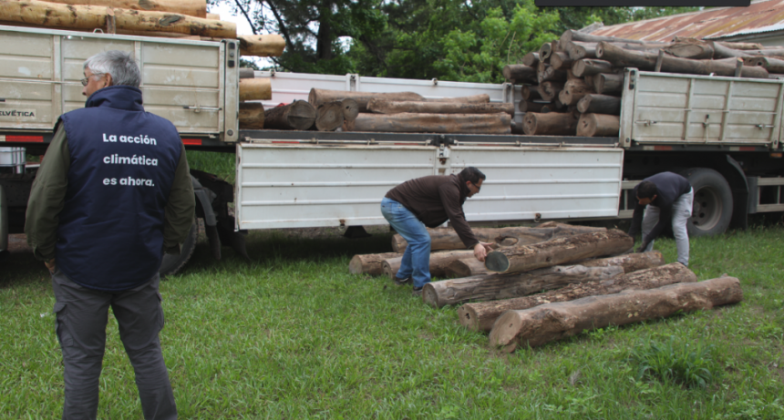Provincia y Naci&oacute;n incautaron un cargamento de 210 rollos de despunte de palo santo