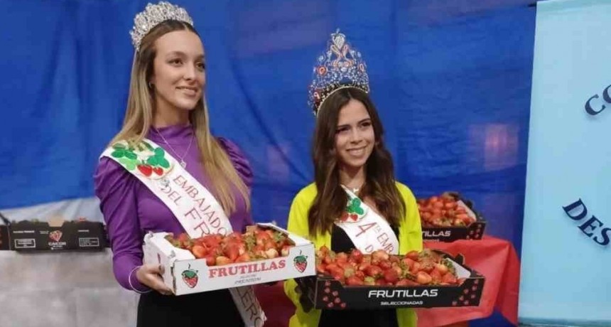 Desv&iacute;o Arij&oacute;n present&oacute; el Festival Provincial del Frutillero