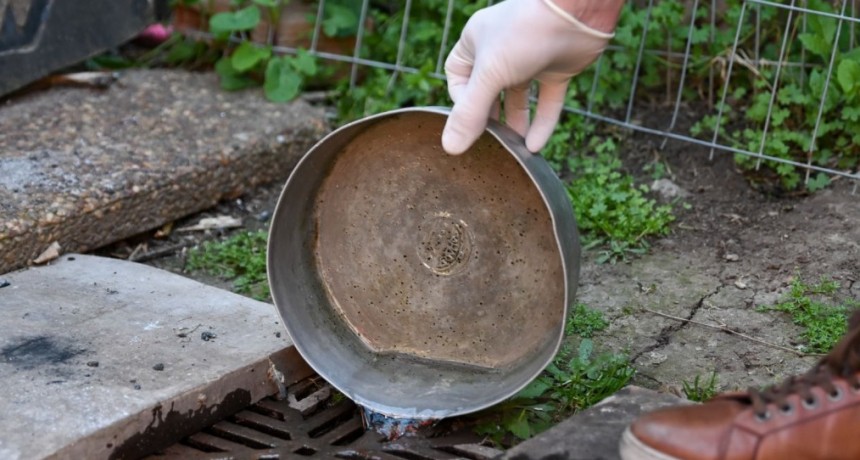 Se detect&oacute; el primer caso aut&oacute;ctono de dengue en la provincia de Santa Fe