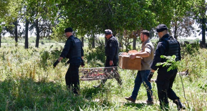 Santa Fe endurece las multas contra la caza y el comercio ilegal de fauna silvestre