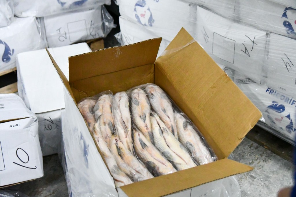 Para evitar el colapso ecológico, Provincia suspenderá por un año el acopio de pescado para exportación