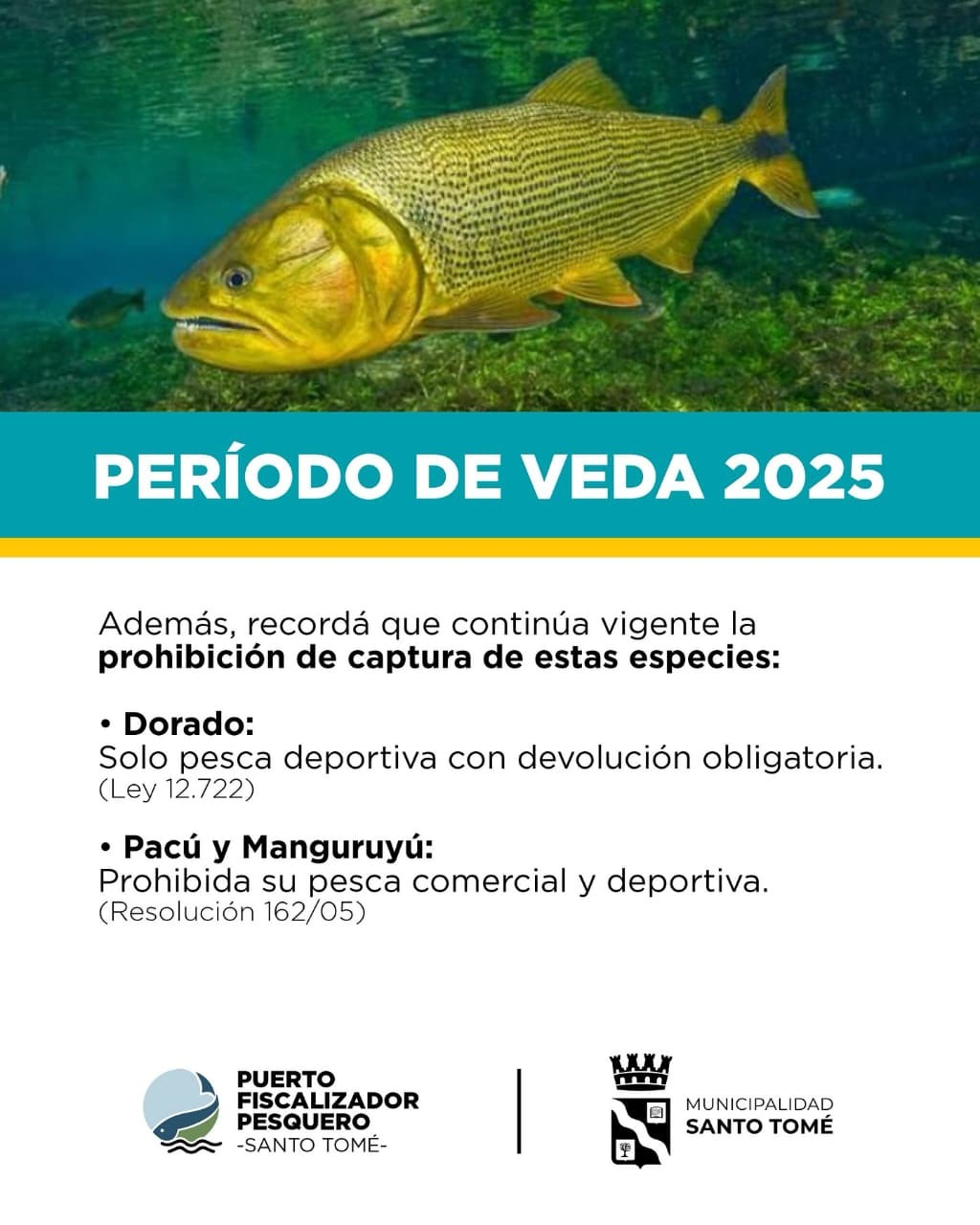 Veda de pesca: la Municipalidad de Santo Tomé recuerda las restricciones vigentes