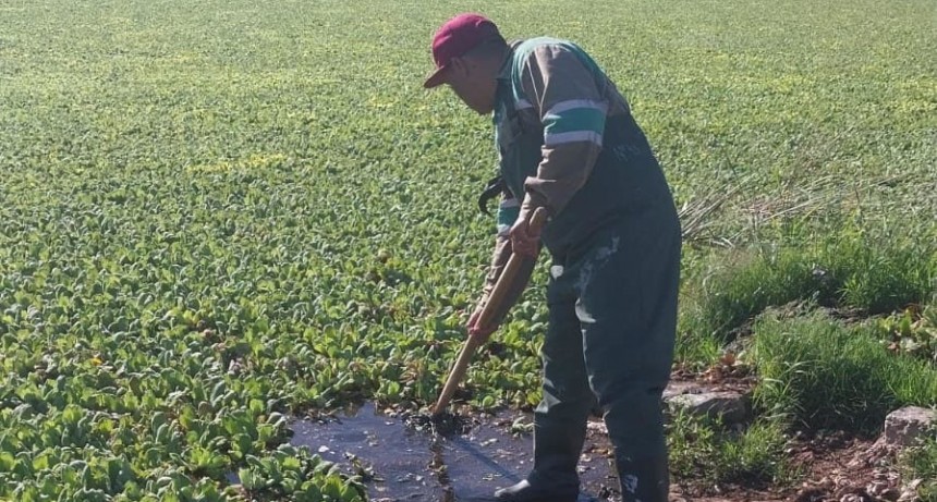 La Municipalidad de Santa Fe trabaja para recuperar el Lago del Parque Sur