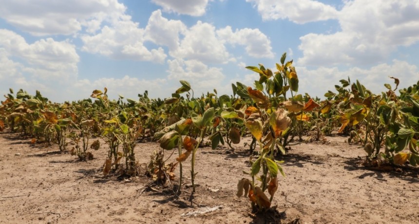 Provincia extiende plazos para tramitar emergencia agropecuaria y lanza l&iacute;neas de cr&eacute;ditos para afectados