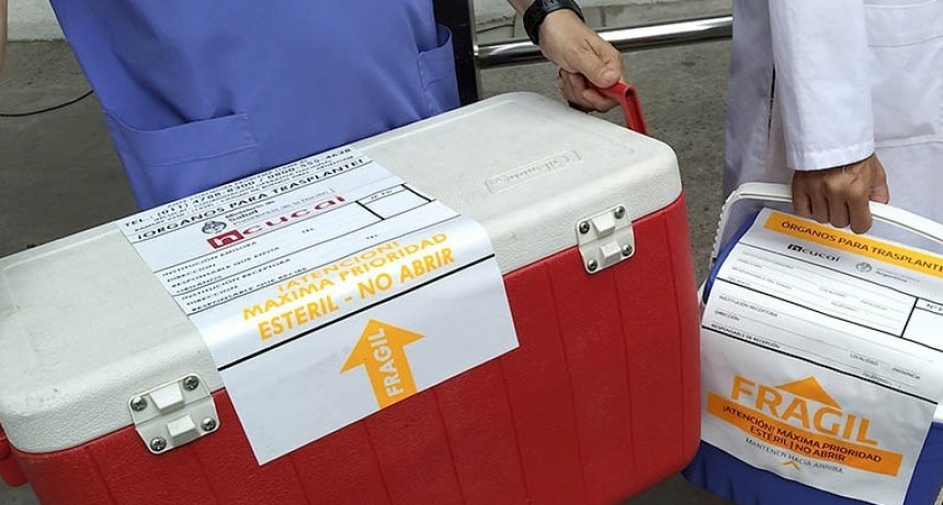 CUDAIO: Provincia tuvo cuatro donaciones de &oacute;rganos en 48 horas