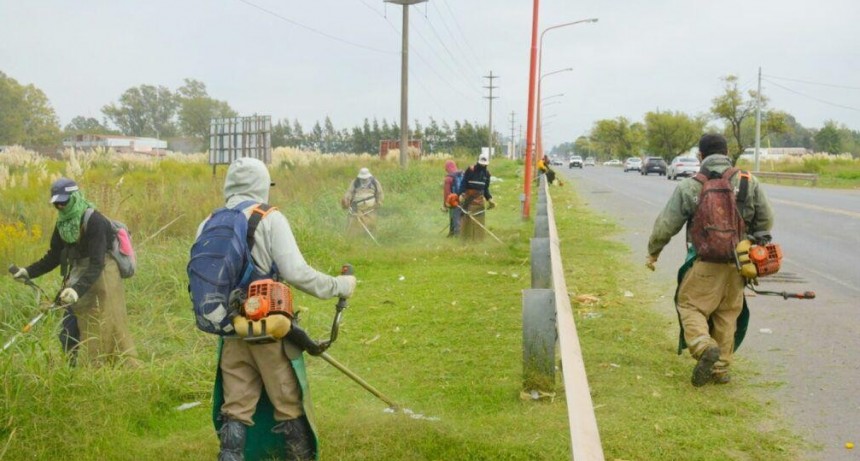 Provincia inicia un in&eacute;dito proceso para el desmalezado de calzadas de rutas provinciales