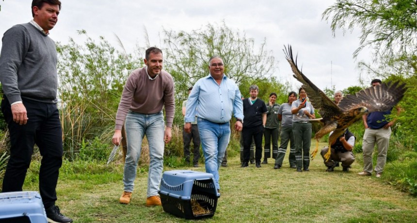 Biodiversidad: Provincia ya realiz&oacute; 1.400 rescates de animales